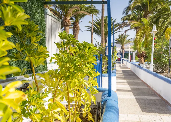 Puerto Colon Club Costa Adeje (Tenerife)