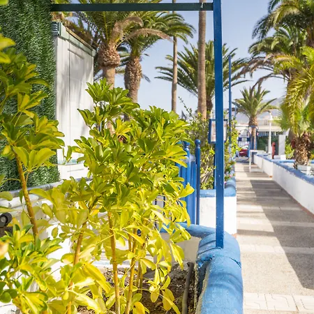 Puerto Colon Club Адехе